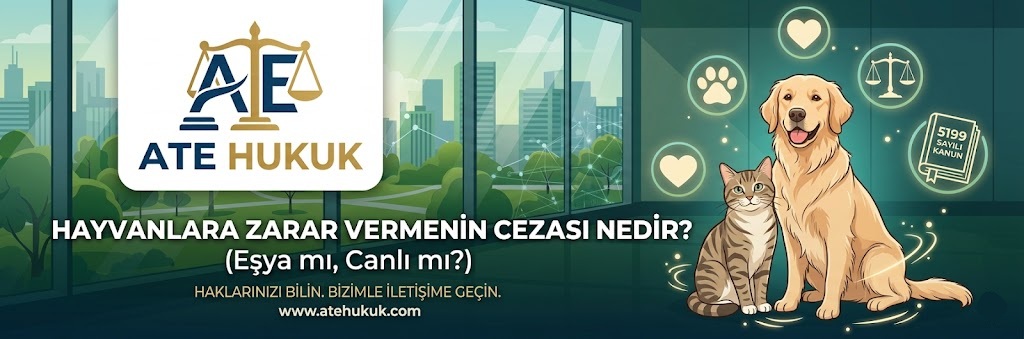 HAYVANLARA ZARAR VERMENİN CEZASI NEDİR? (EŞYA MI, CANLI MI?)
